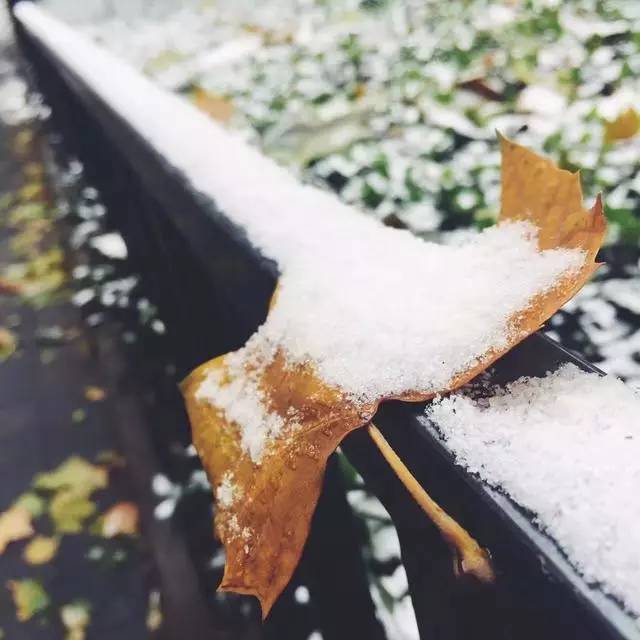 出门感觉天真冷啊,朋友圈被北京雪景刷屏了