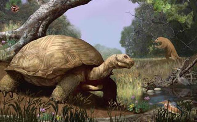 侏罗纪公园巨齿古巨龟图片