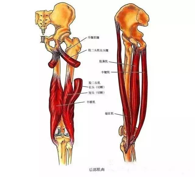 私人健身房健身器材推荐:我们致力于保护作者版权,部分作品来自互联网