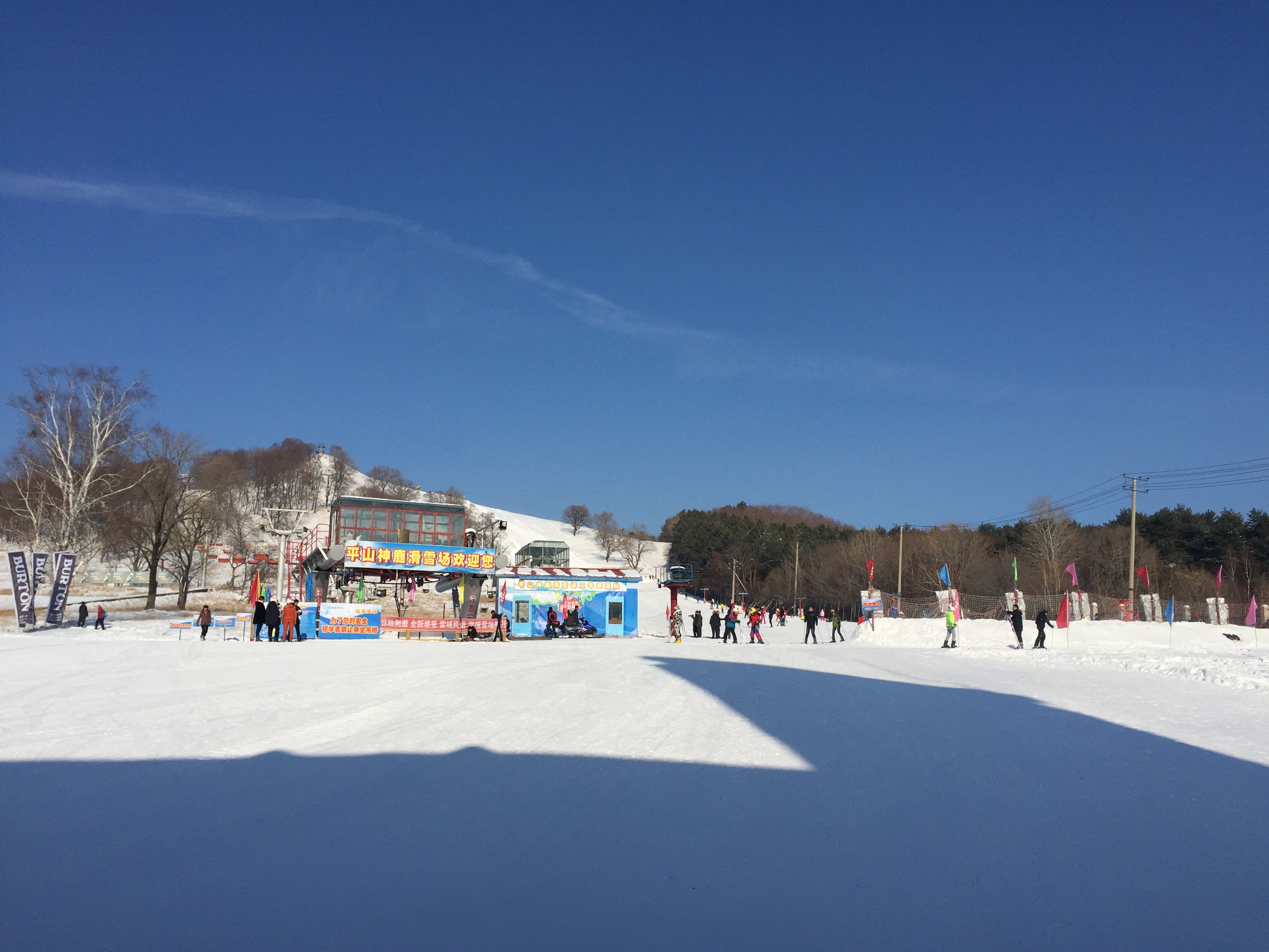 神鹿图片滑雪场图片
