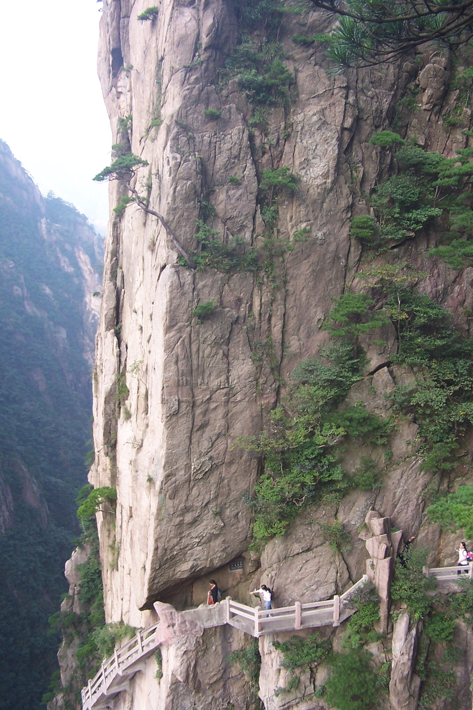 揭開黃山西海大峽谷的神秘面紗