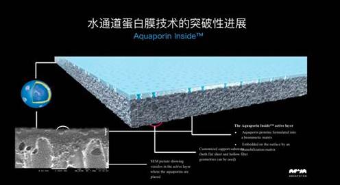 2003年,美国科学家彼得·阿格雷因为发现水通道蛋白的秘密获得诺贝尔