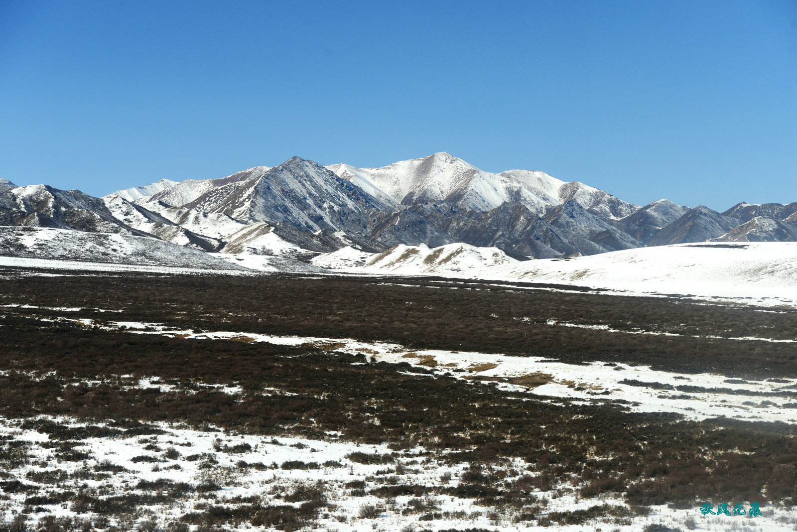 窗外茫茫祁連雪--嘉峪關到西寧的路上