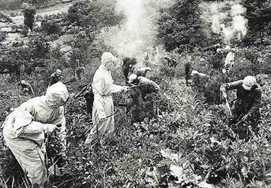 日军细菌战部队暴行图片