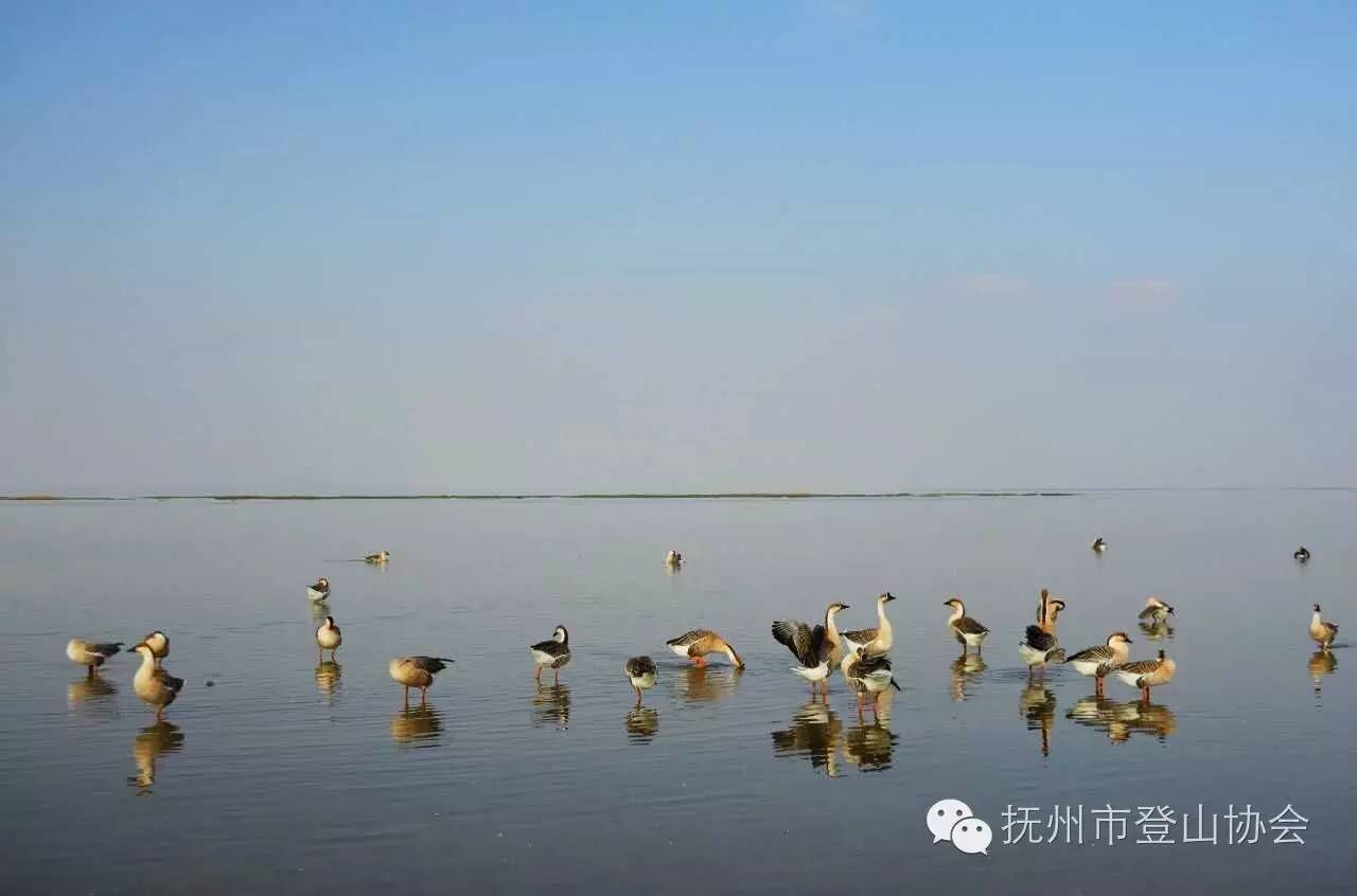 游鄱阳湖国家湿地公园