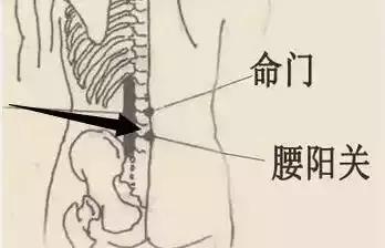 腰艾灸位置图片大全图片