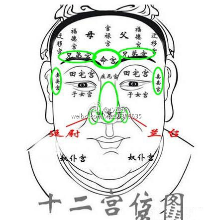 五官图解 男性图片