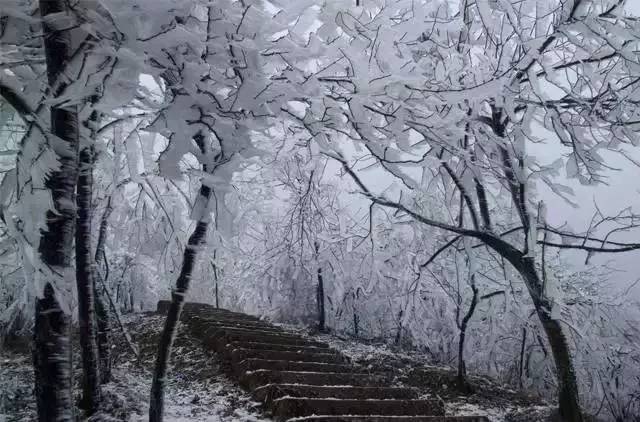 阳山威灵殿雪景图片