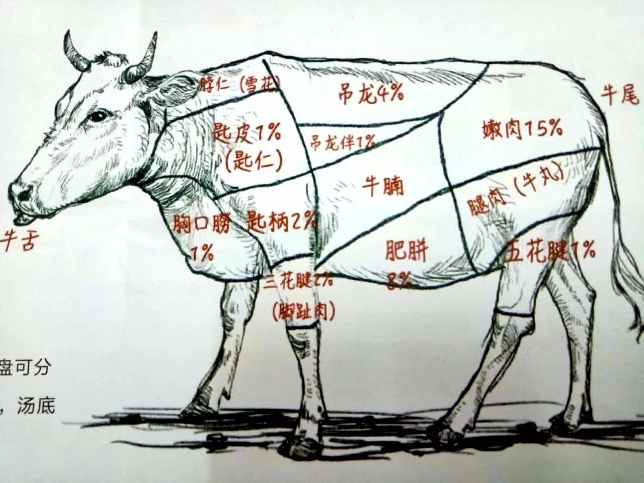 谢霆锋大爱的牛肉火锅开到长春了