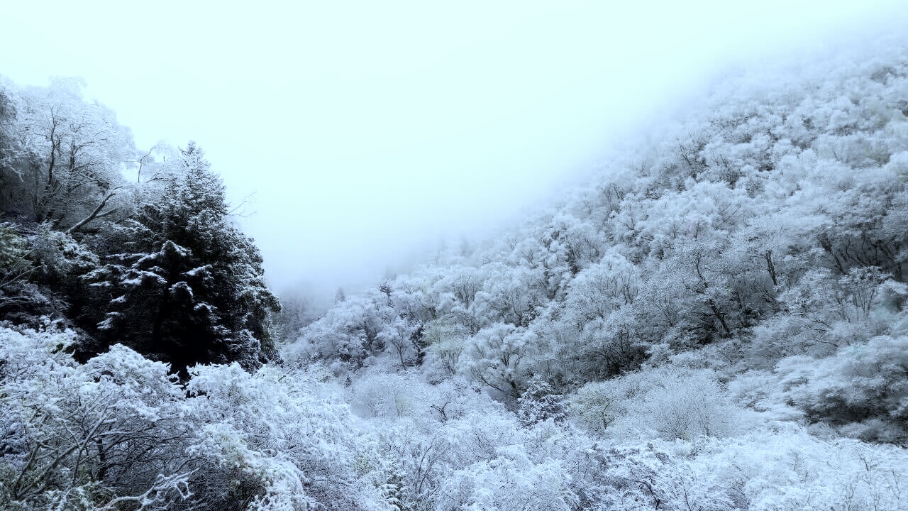 松坪沟雪景图片