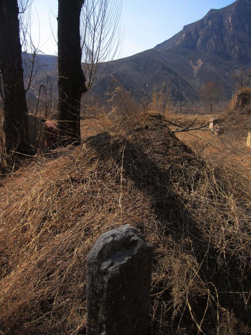 緣易堂風水命理:墳上長樹好不好