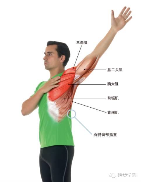 胸大肌拉伸方法图片