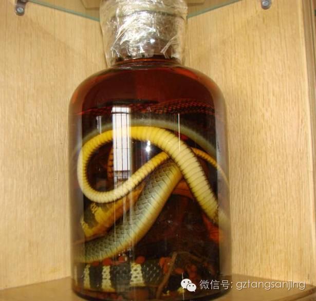 金环蛇泡酒图片