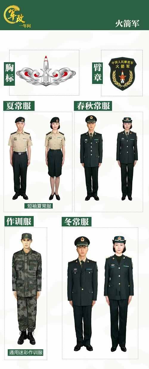 中国人民解放军军种图片