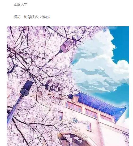 武汉大学二次元图片