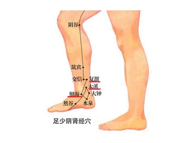 腿部肾经的准确位置图图片