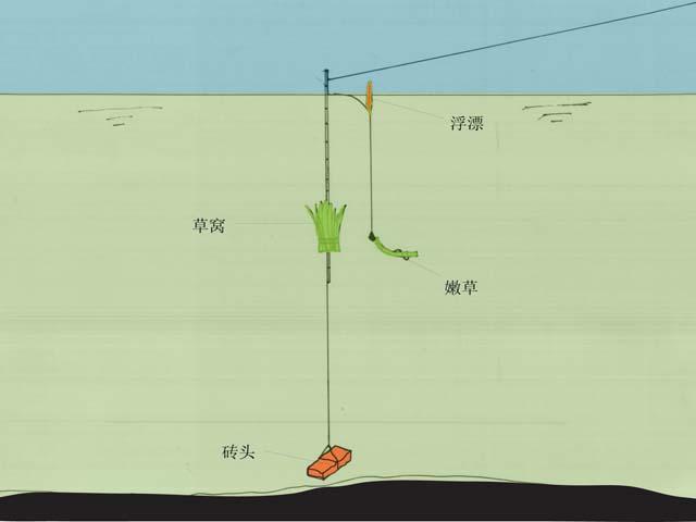 草钓草鱼怎样挂草图片图片