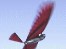 飞机扇动翅膀图片gif图片