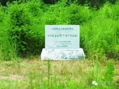 湖泗瓷窑址群总体保护规划获国家文物局批复