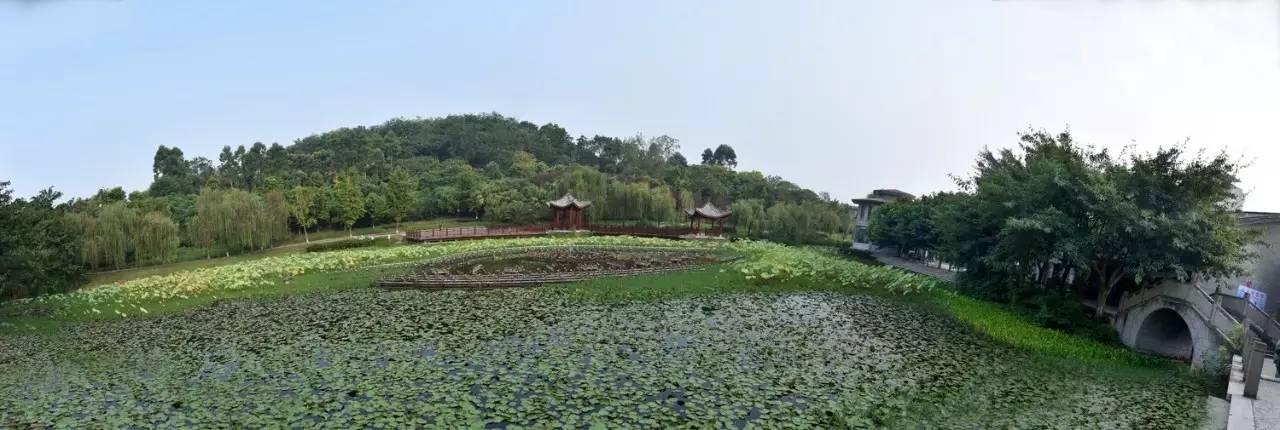 這裡好耍|內江最有文化味道的城市