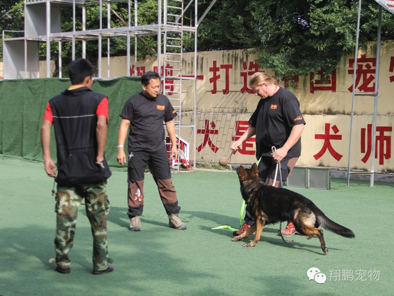 李大胜简历图片