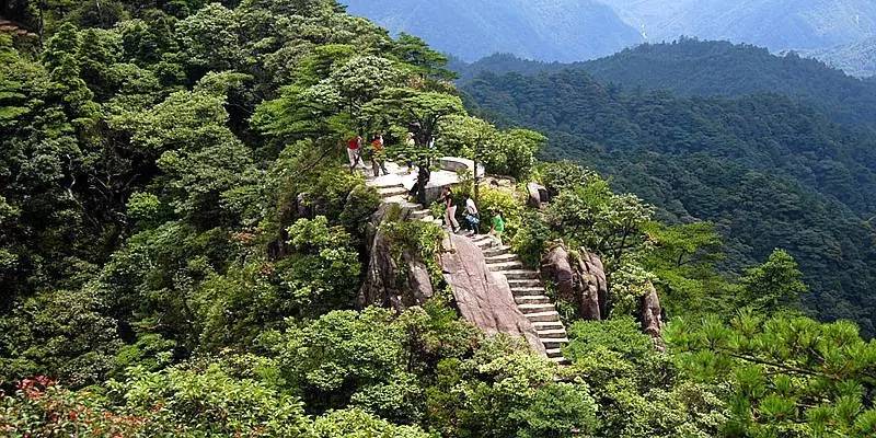 安山森林公園山中的山水畫廊——留夢河谷,河谷中鳥語花香,處處都是