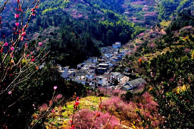 賣花漁村,村形如魚,村頭尖尖狀如魚嘴.