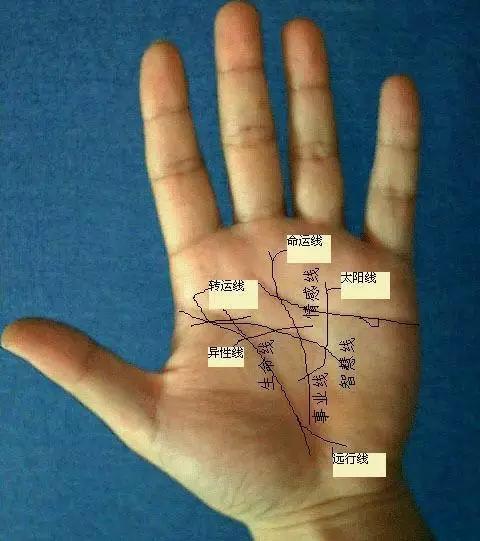 手腕四条线解释图图片
