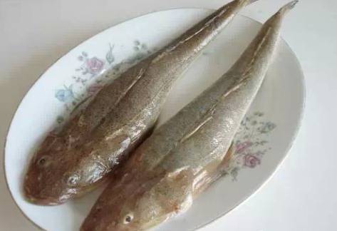 鱈魚:做烤魚片的主要原料牛舌頭小銀魚其他海鮮:鮑魚海參海茄子海茄子