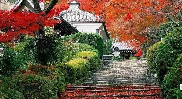 栖霞山温泉花园酒店_栖霞山景点介绍_栖霞山