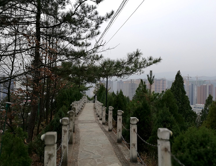 忻州市苍龙山图片