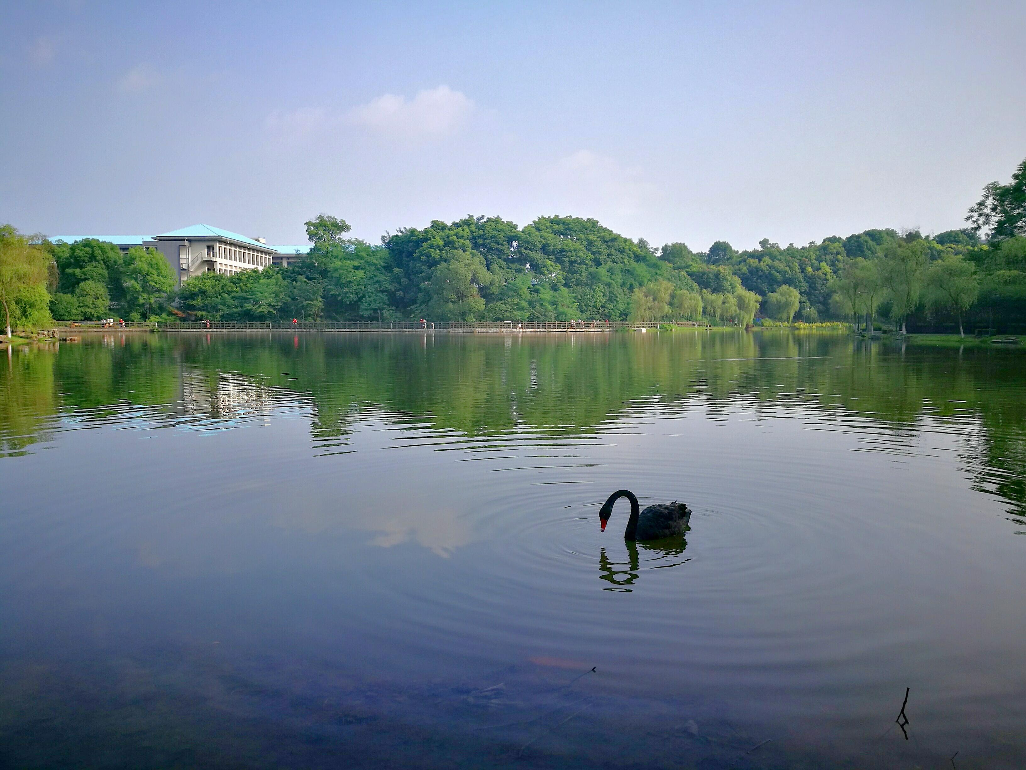 重庆大学城周边景点图片