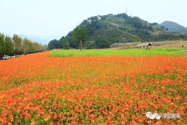 千岛湖你太善变转眼五年我都差点没认出你