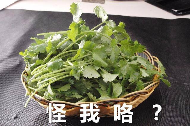 世界反香菜联盟图片