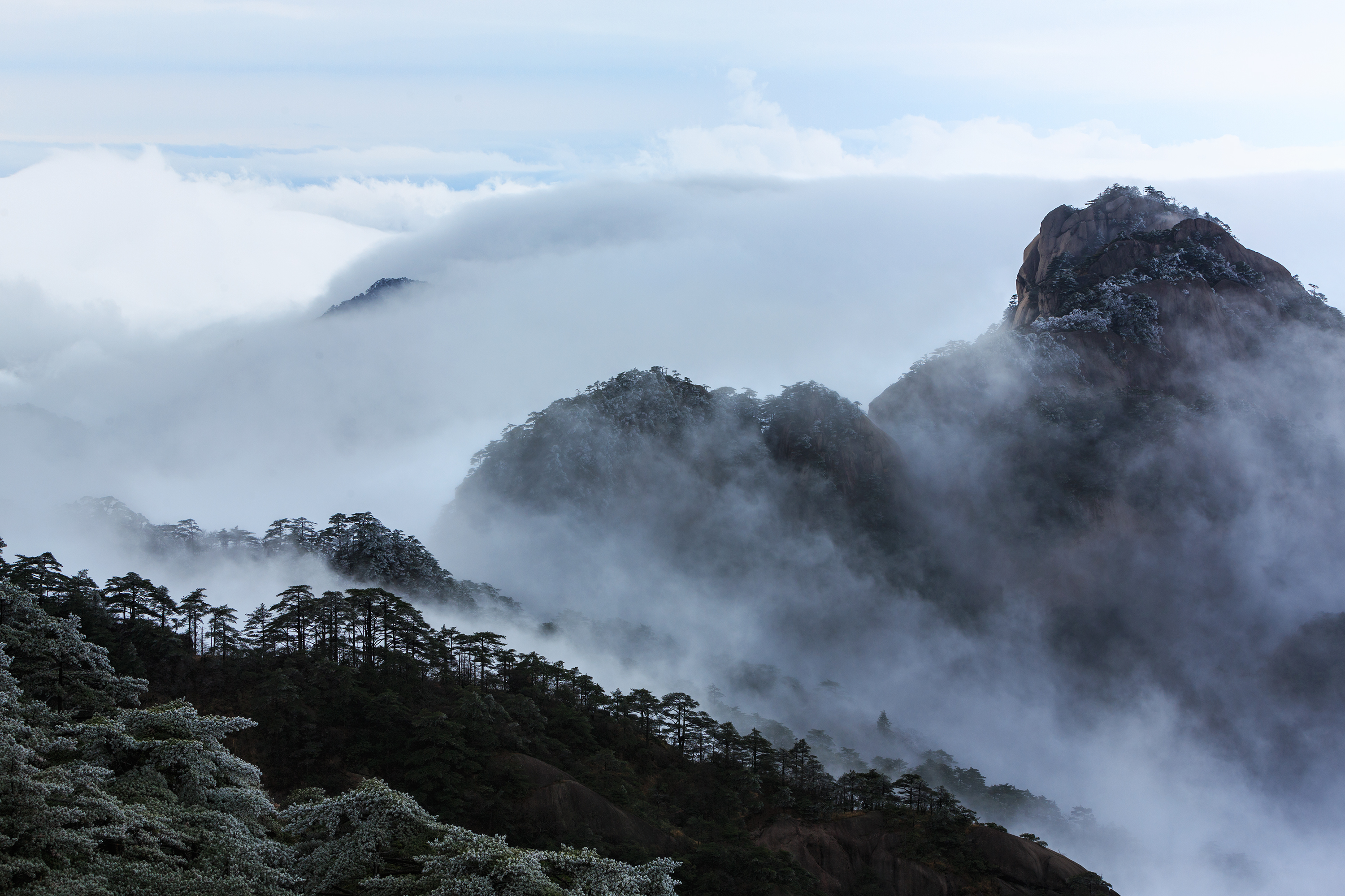 黄山雾凇图片 云海图片
