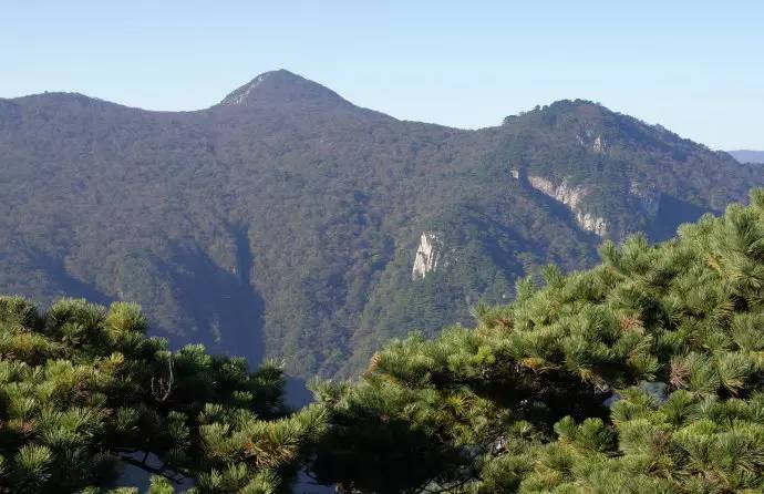 從東天目山-大仙頂到西天目山-仙人頂,山脊穿越要翻過的七座山峰.