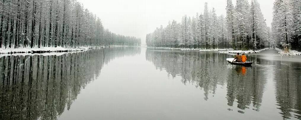 "林中有水,水中有鱼,林内有鸟"的独特水乡景观,说的就是李中水上森林.