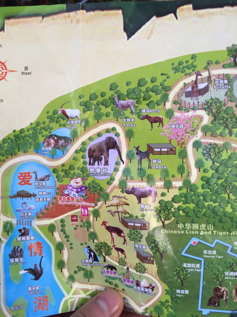 深圳周末游西丽野生动物园攻略