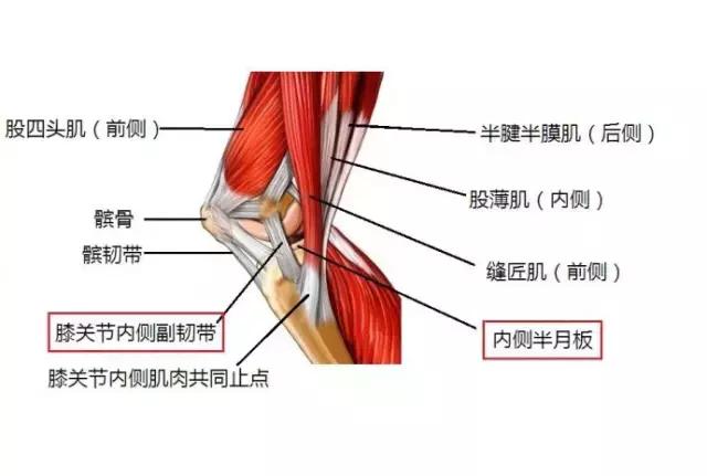 膝内侧痛是怎么回事?如何治疗?