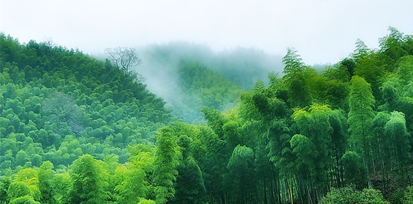 三,闲,不是逃避放纵,是厚积薄发旷达林中趣,高闲物外身,这两句诗最