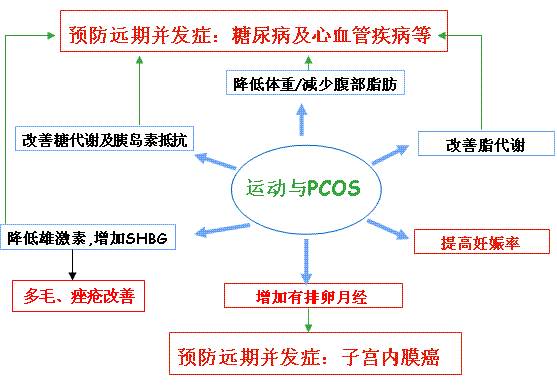 英文縮寫,是一種常見的女性內分泌及代謝異常的慢性病,其發病機制複雜