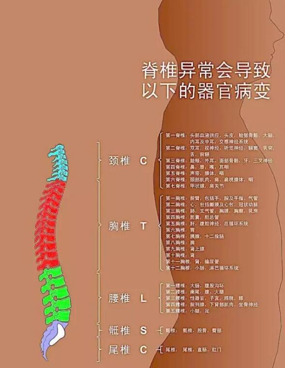 颈椎病治疗偏方和秘方_颈椎病治疗偏方法_颈椎病的治疗偏方