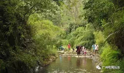 門票:免費地址:廣州市從化區良口鎮怎麼去:從化汽車站坐班車到電力局