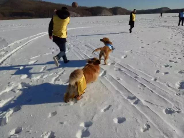 伊春桃山玉温泉住宿多少钱