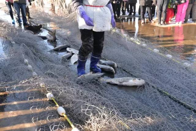 伊春桃山玉温泉住宿多少钱