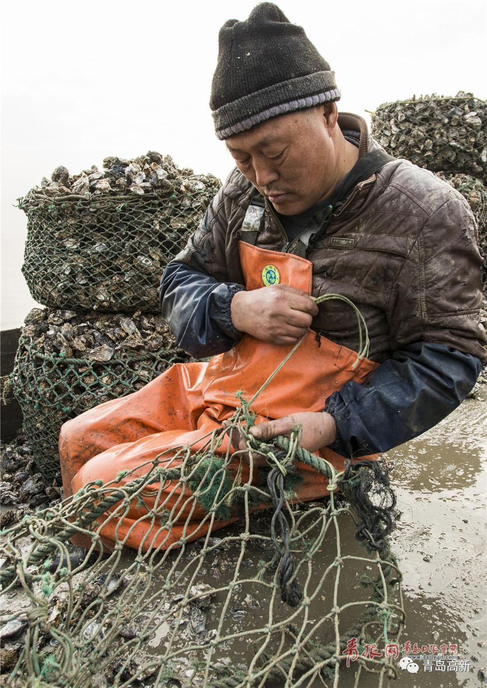 記錄凌晨4點實拍揭秘紅島漁民挖海蠣子全過程