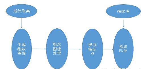 應用方案指紋識別技術原理及全球十大方案廠商分析