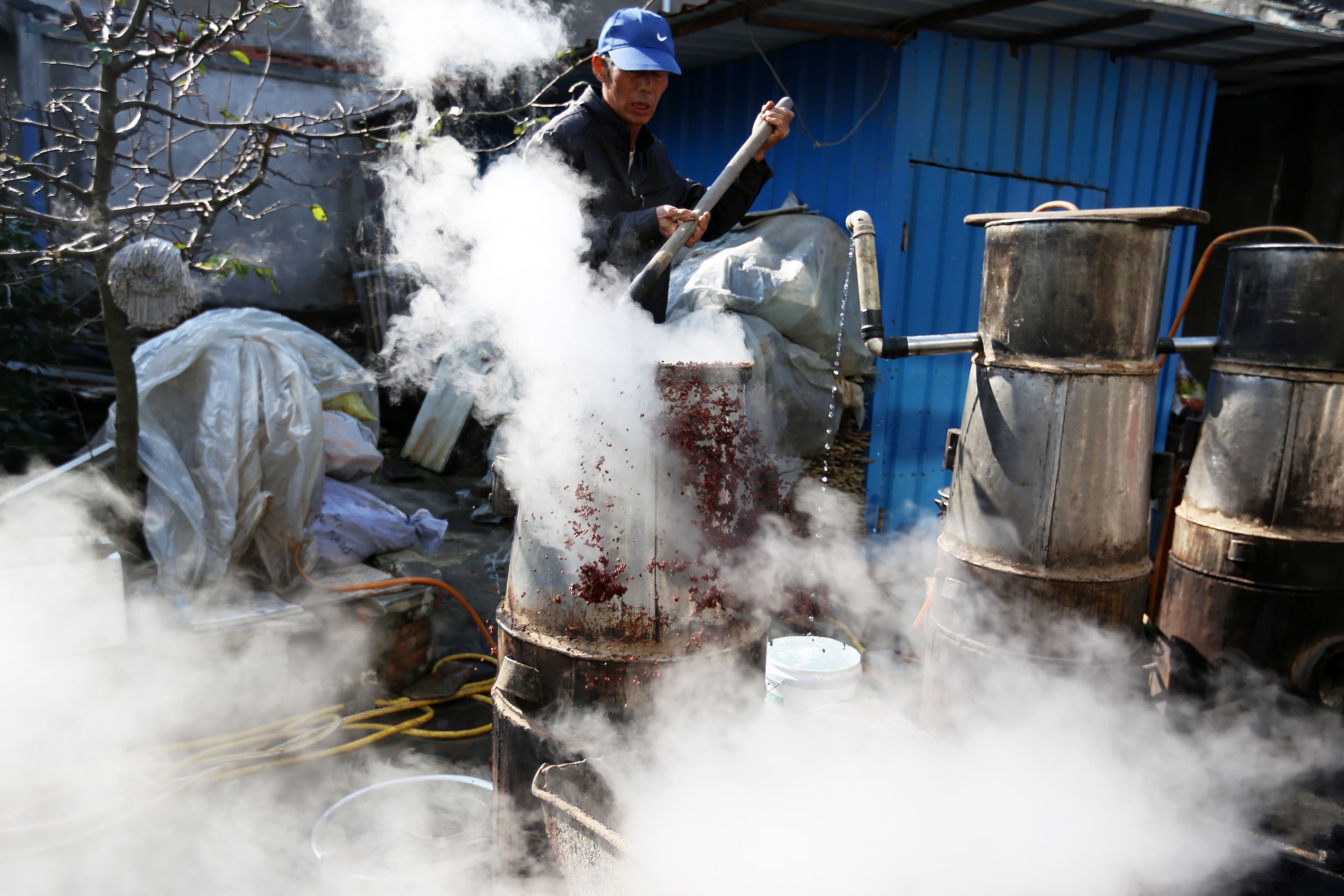 酒香十里带你探秘浙江农村土法酿酒