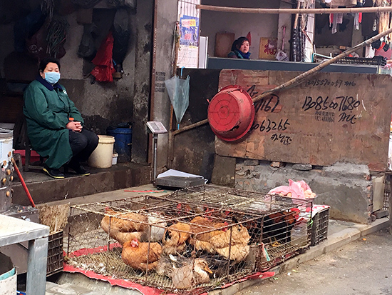 合肥市民在宁国路菜市场买不到活禽 卖鸡改卖皮鞋