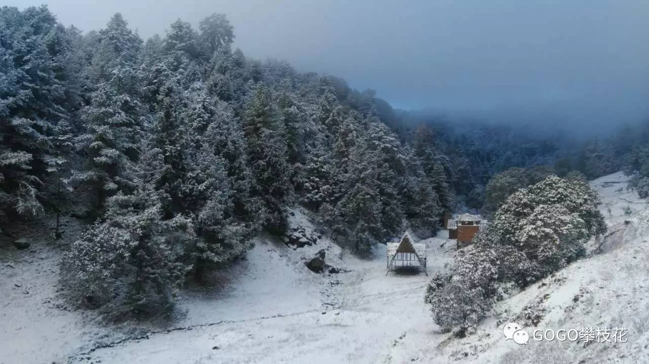 今天一早,格萨拉和米易的雪都下这么厚了,超多图 视频,快去看雪吧!